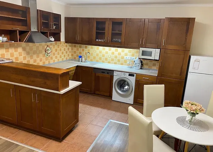 Apartament Vio Art *