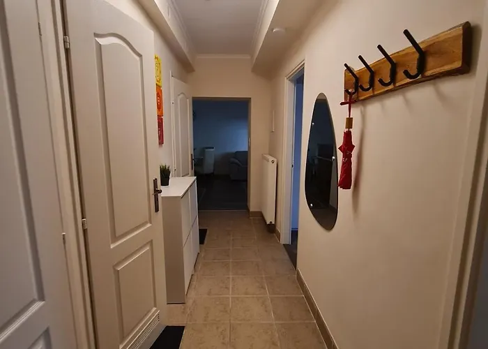 Vio Art Apartament