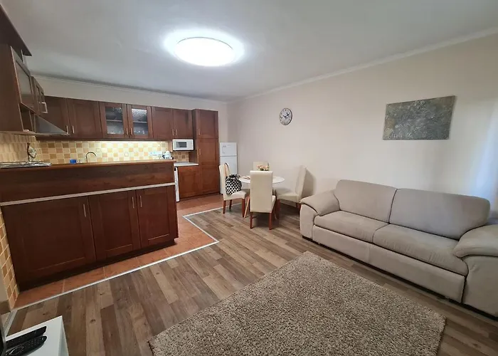 Apartament Vio Art Alba Regalǎ